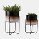 22209-03#S/2 19/23" Ombre Metal Planters On Stands, Brown K