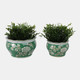22235-01#S/2 6/8" Floral Chinoiserie Planters, Green