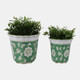 22236-01#S/2 6/8" Flower & Vine Chinoiserie Planters, Green