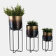 22307#S/3 15/20/27" Ombre Metal Planter On Stand, Gold/b