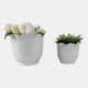 22311#S/2 8/11" Ruffle Edge Planter, Ivory