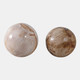 22417-02#S/2 5/6" Petrified Wood Orbs, Ivory