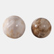 22417-02#S/2 5/6" Petrified Wood Orbs, Ivory