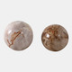 22417-02#S/2 5/6" Petrified Wood Orbs, Ivory