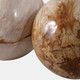 22417-02#S/2 5/6" Petrified Wood Orbs, Ivory