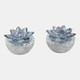 13212-10#S/2 Glass Trinket Box Clear W/lt Blue Lotus Top