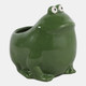80466#6" Dark Green Frog Citro Sea Salt, Candle