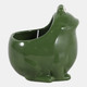80466#6" Dark Green Frog Citro Sea Salt, Candle