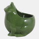 80466#6" Dark Green Frog Citro Sea Salt, Candle
