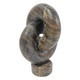 EV22888-02#10" Loraine Cappuccino Marble Ring Statuary
