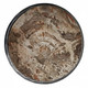 EV23144#22" Scioto Petrified Wood Accent Table