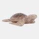 23187#12x8" Alibizia Wood Turtle, Natural