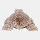 23187#12x8" Alibizia Wood Turtle, Natural