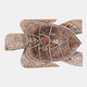 23187#12x8" Alibizia Wood Turtle, Natural