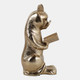 23319#8x4" Reading Kitty W/ Glasses, Gold