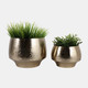 23326#S/2 9/11" Textured Curved Metal Planters, Gold