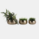 23329#S/3 10/11/13" Textured Metal Low Bowl Planters, Go