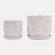 23391-01#S/2 6/8" Rose Embossed Saucer Planters, Cream
