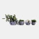 23403#S/4 6/8/10/13" Chinoiserie Planters, Blue/white