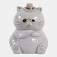 23409#6x5" Cool Cat With Glasses, Gray