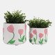 23412#S/2 7/8" Tulip Embossed Footed Planters, Pink/ivor