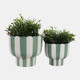 23415-02#S/2 6/8" Striped Pedestal Planter, Green/white