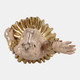 23418#16x7" Ballerina Hippo, Gold