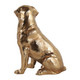 EV23498-02#7" Moxley Gold Metal Dog Statuary
