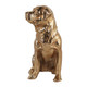 EV23498-02#7" Moxley Gold Metal Dog Statuary