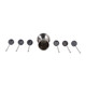 EV23528#S/6 5" Shreve Black Luster Glass Pick Set 