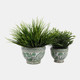 19140-02#Cer, S/2 5/7" Bowl Chinoiserie Planters, Green