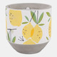 80470-01#6" 18 Oz Lemon Candle, Yellow Multi