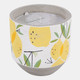 80470-01#6" 18 Oz Lemon Candle, Yellow Multi