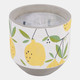 80470-01#6" 18 Oz Lemon Candle, Yellow Multi