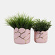 20318-04#S/2 6/7" Clouds Planter, Light Pink/gold 