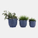 23613-02#S/3 8/9/11" Wildflower Ruffle Edge Planters, Blue