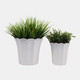 23614-01#S/2 6/8" Scallop Edge Planters, White