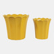 23614-02#S/2 6/8" Scallop Edge Planters, Yellow