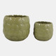 23615-02#S/2 6/8" Flower Petal Planters, Green