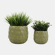 23615-02#S/2 6/8" Flower Petal Planters, Green