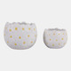23617-01#S/2 6/8" Daisy Planters, White