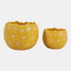 23617-02#S/2 6/8" Daisy Planters, Yellow