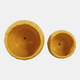 23617-02#S/2 6/8" Daisy Planters, Yellow