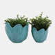 23618-03#S/2 6/8" Flower Shaped Planters, Blue