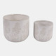 23620-01#S/2 6/8" Floral Embossed Planters, Ivory