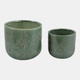 23620-02#S/2 6/8" Floral Embossed Planters, Sage Green