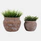 23623#S/2 8/11" Textured Stoneware Jug Planters, Brown