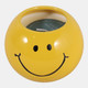 80600#4" 7 Oz Coconut Goji Smiley Face Candle, Yellow