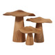 EV23636#S/3 Blanco Teak Mushroom