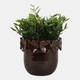 20245-05#6" Leaf Applique Planter Dark Brown